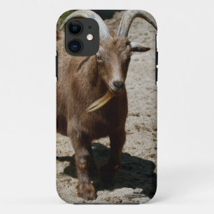 Bill iPhone 11 Case