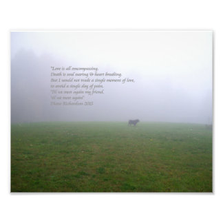 Bill In The Fog, an ode to departed canine friends Photo Print