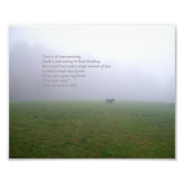 Bill In The Fog, an ode to departed canine friends Photo Print (Front)