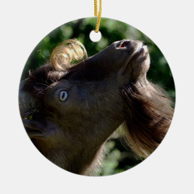 Billy Goat Ceramic Ornament (Front)
