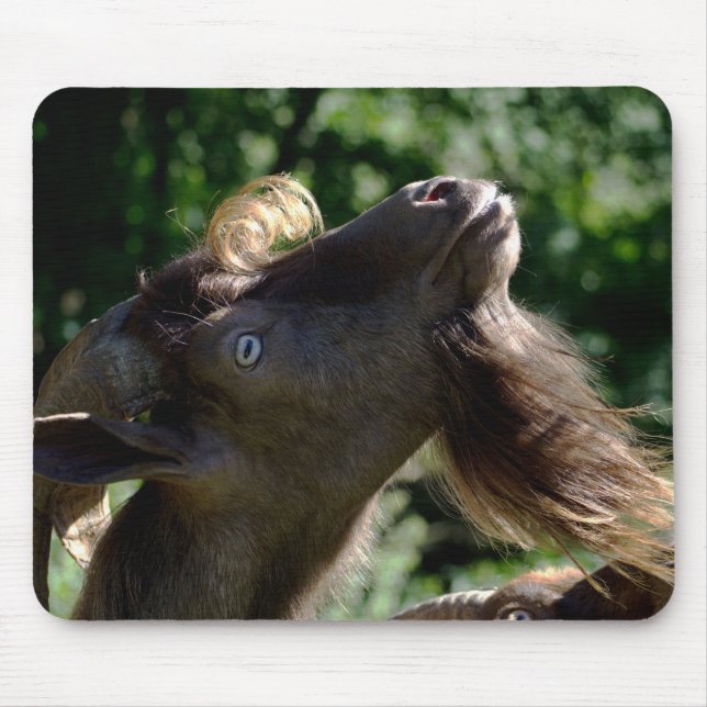 Billy Goat Mouse Pad (Front)