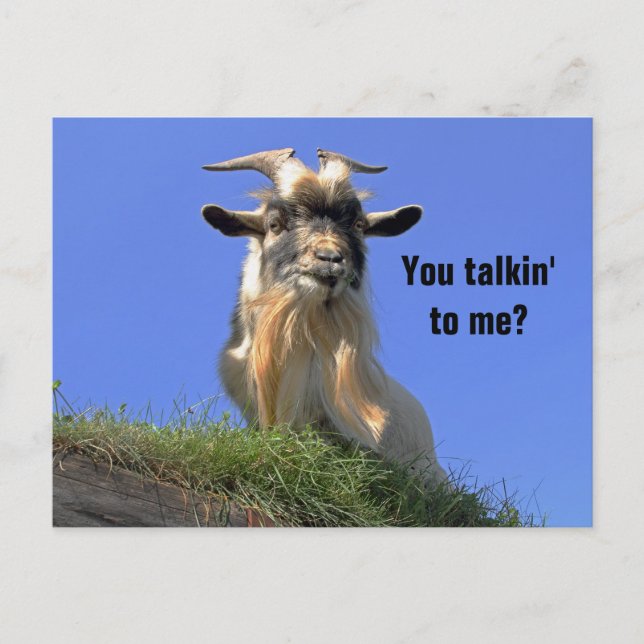 Billy Goat Photo Postcard (Front)