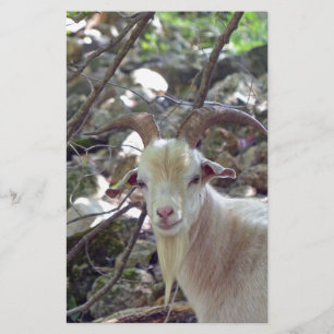 Billy Goat Stationery