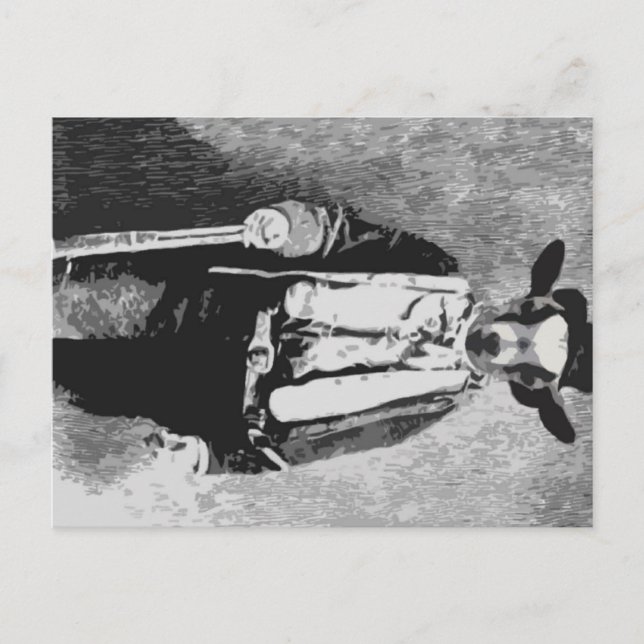 Billy the Kid - Carte postale (Devant)