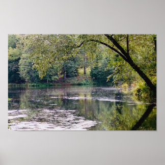 biltmore lake poster