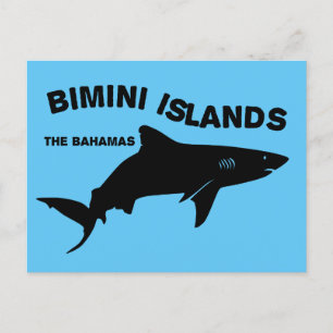 Bimini Islands Scuba Diving With Sharks - Bahamas Postcard