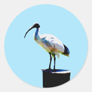 Bin Chicken, (Ibis) Oil Paint, Classic Round Sticker