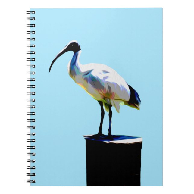 Bin Chicken, (Ibis) Oil Paint, Notebook (Front)