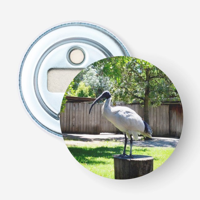 Bin Chicken (ibis) On A Tree Stump,  Bottle Opener (Front)