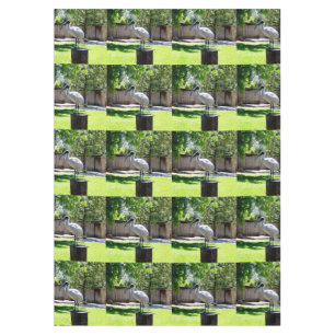 Bin Chicken (ibis) On A Tree Stump, Tablecloth
