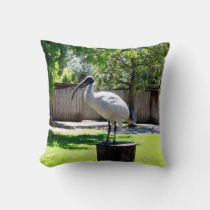 Bin Chicken (ibis) On A Tree Stump,   Throw Pillow