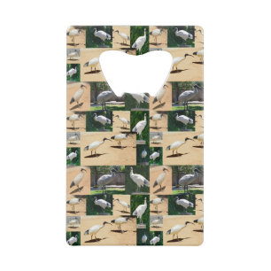 (Bin Chicken) Ibis Photo Collage, Credit Card Bottle Opener