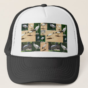 Bin Chicken (Ibis) Photo Collage, Trucker Hat