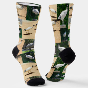 Bin Chicken Photo Collage, Crew Socks