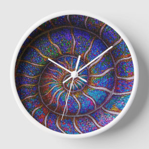 Binary Ammonite Clock