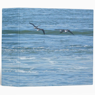 Binder Atlantic Brant Geese (Branta bernicla hrota