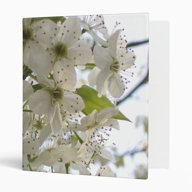 Binder - Blooming Bradford Pear (Front/Inside)
