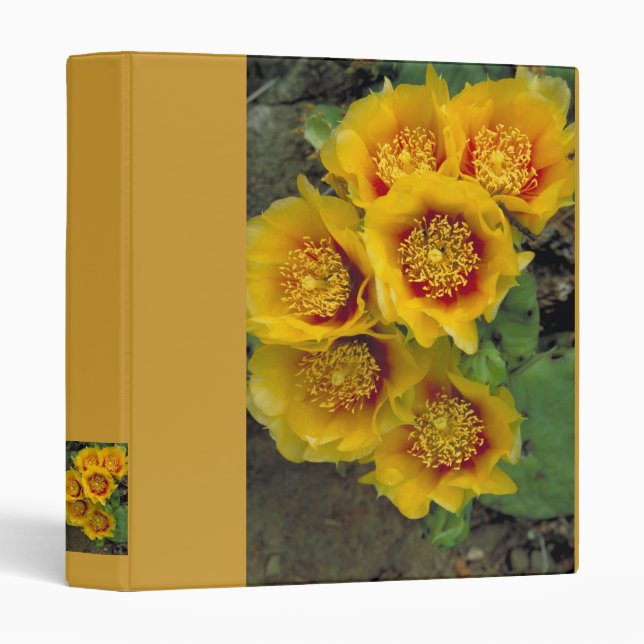 Binder / Eastern Prickly Pear Cactus in Bloom (Front/Spine)
