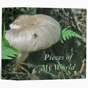 Binder Fern & Mushroom at Stump Series