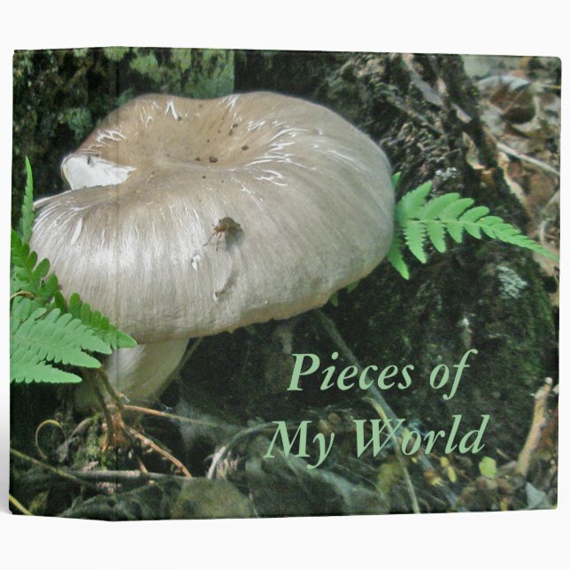 Binder Fern & Mushroom at Stump Series (Front/Spine)