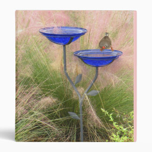 Binder, Finch at the Bird Bath Binder
