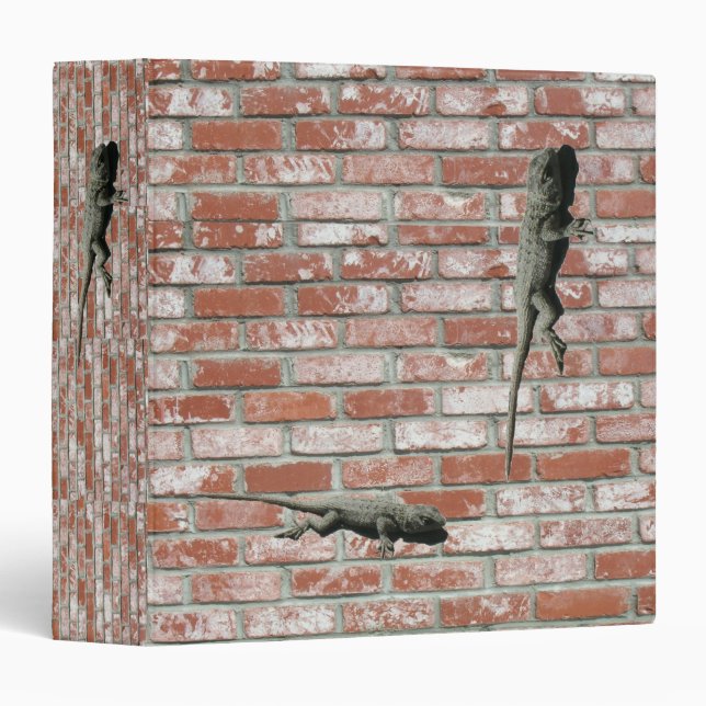 Binder - Lizards on Brick Wall (Front/Spine)