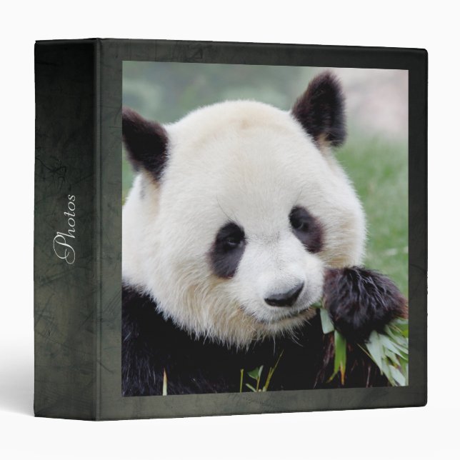 binder Photo giant panda , animals 0093. (Front/Spine)
