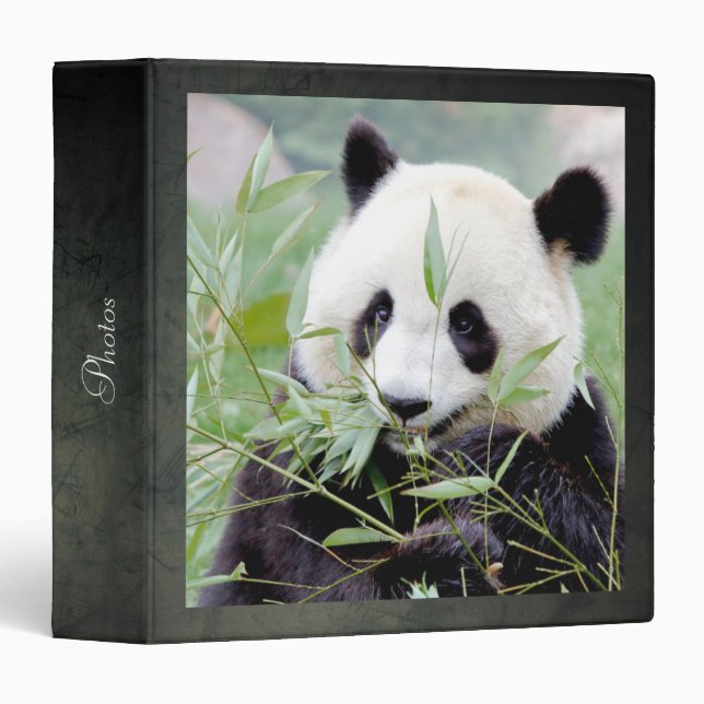 binder Photo giant panda , animals 0097. (Front/Spine)