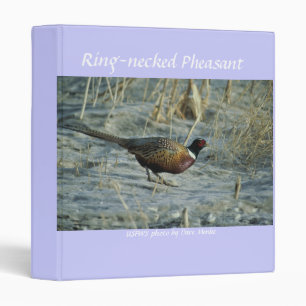 Binder / Ring-necked Pheasant