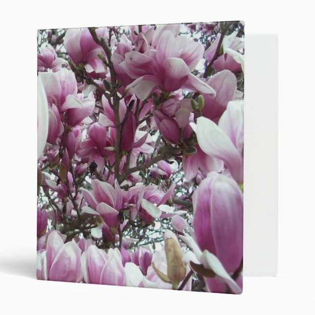 Binder - Saucer Magnolia (Front/Inside)