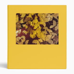 Binder with yellow leaves