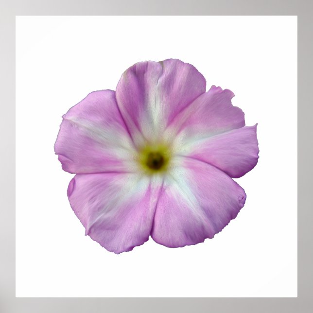 Bindweed #1 poster (Front)