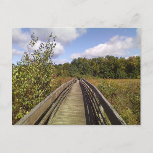 Binghamton University Nature Preserve Postcard