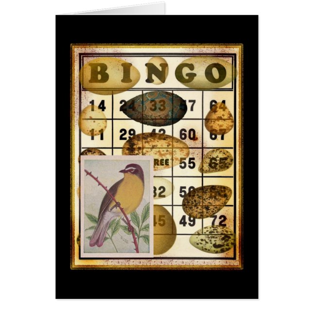 Bingo Bird (Devant)