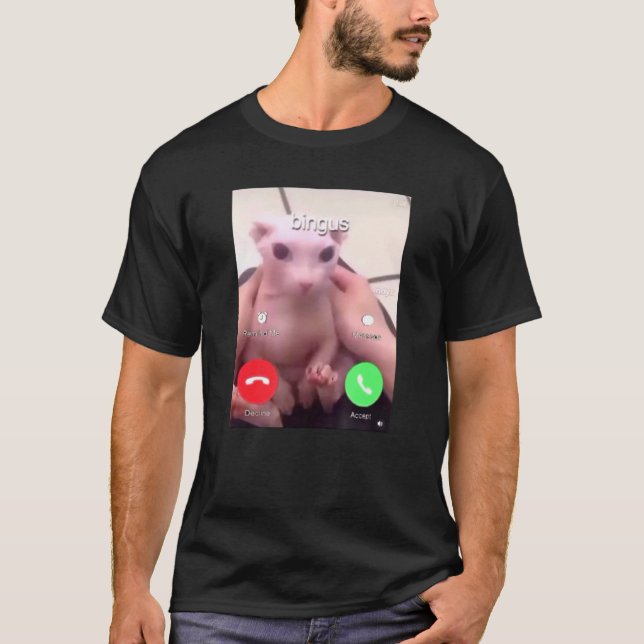 Bingus Is Calling My Beloved Hairless Sphinx Cat 1 T-Shirt (Front)