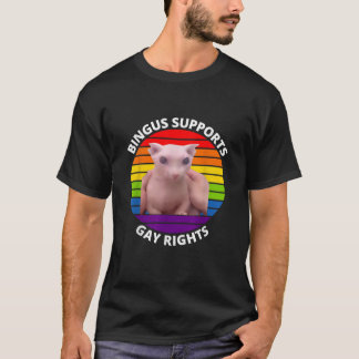 Bingus Supports Gay Rights Hairless Sphinx Bingus T-Shirt