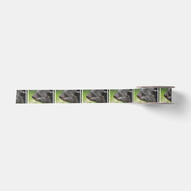 Binturong Satin Ribbon (Front)