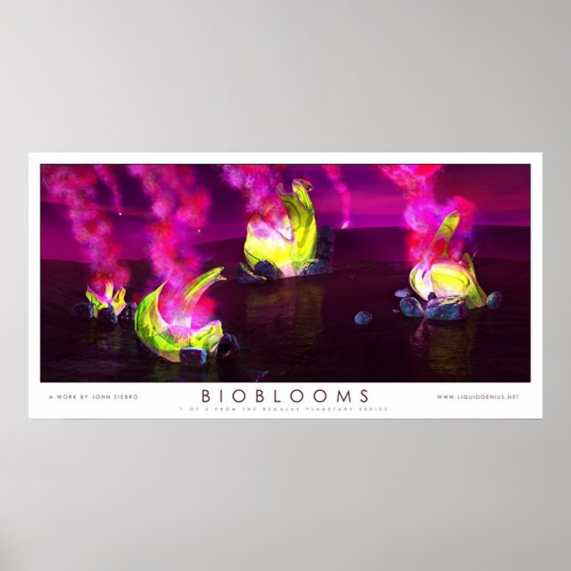 Bioblooms Poster (Front)