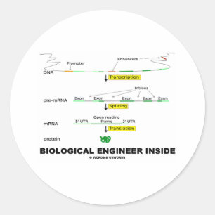 Biological Engineer Inside Classic Round Sticker