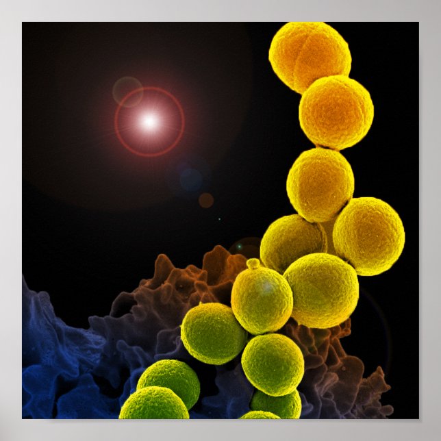 biologie microbiologie abstraite pour affiche ou t (Devant)