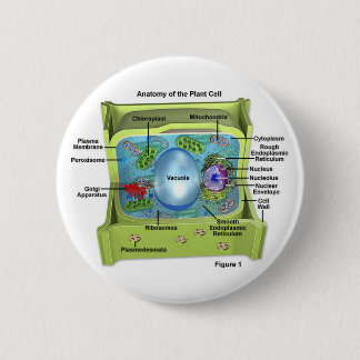 Biology 2 Inch Round Button