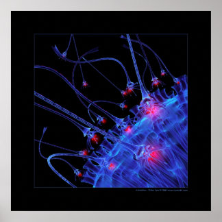 Biology: attraction poster