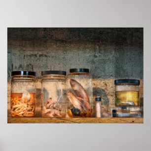 Biology - Biology 101 Poster