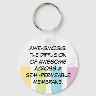 Biology & Chemistry Teachers: Science is Awesome Keychain