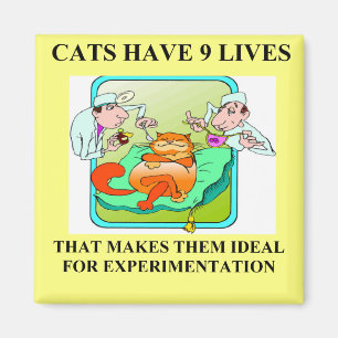 biology experiment joke magnet