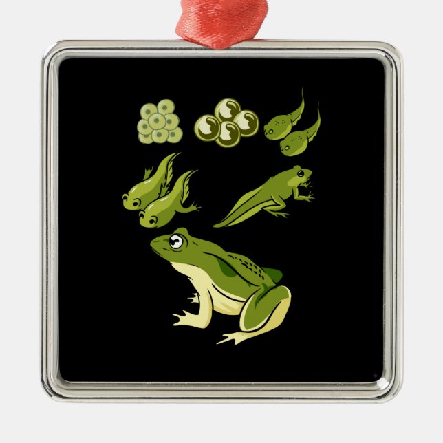 Biology - Frog Lifecycle Metal Ornament (Front)