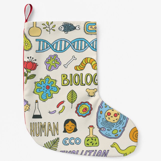 Biology. Hand drawn. Vintage illustration.  Small Christmas Stocking (Front)