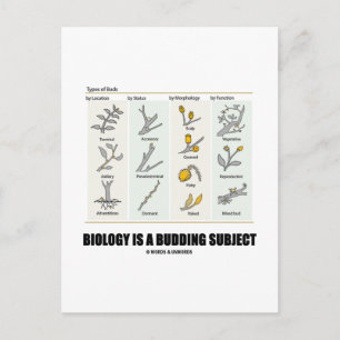 Biology Is A Budding Subject (Types Of Buds) Postcard