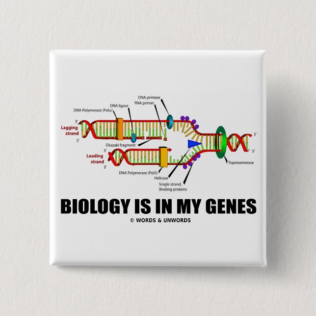 Biology Is In My Genes (DNA Replication) 2 Inch Square Button (Front)
