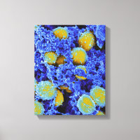 biology microbiology abstract art poster or canvas